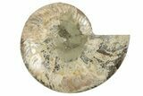 Bargain, Cut & Polished Ammonite Fossil (Half) - Madagascar #200104-1